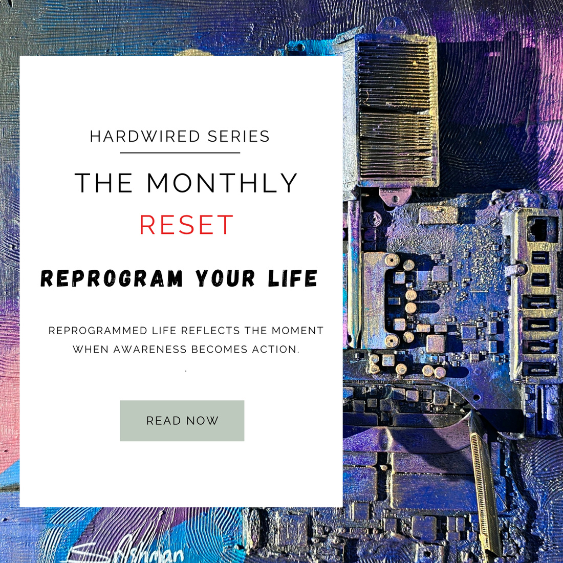 May Reset - Reprogram Your Life