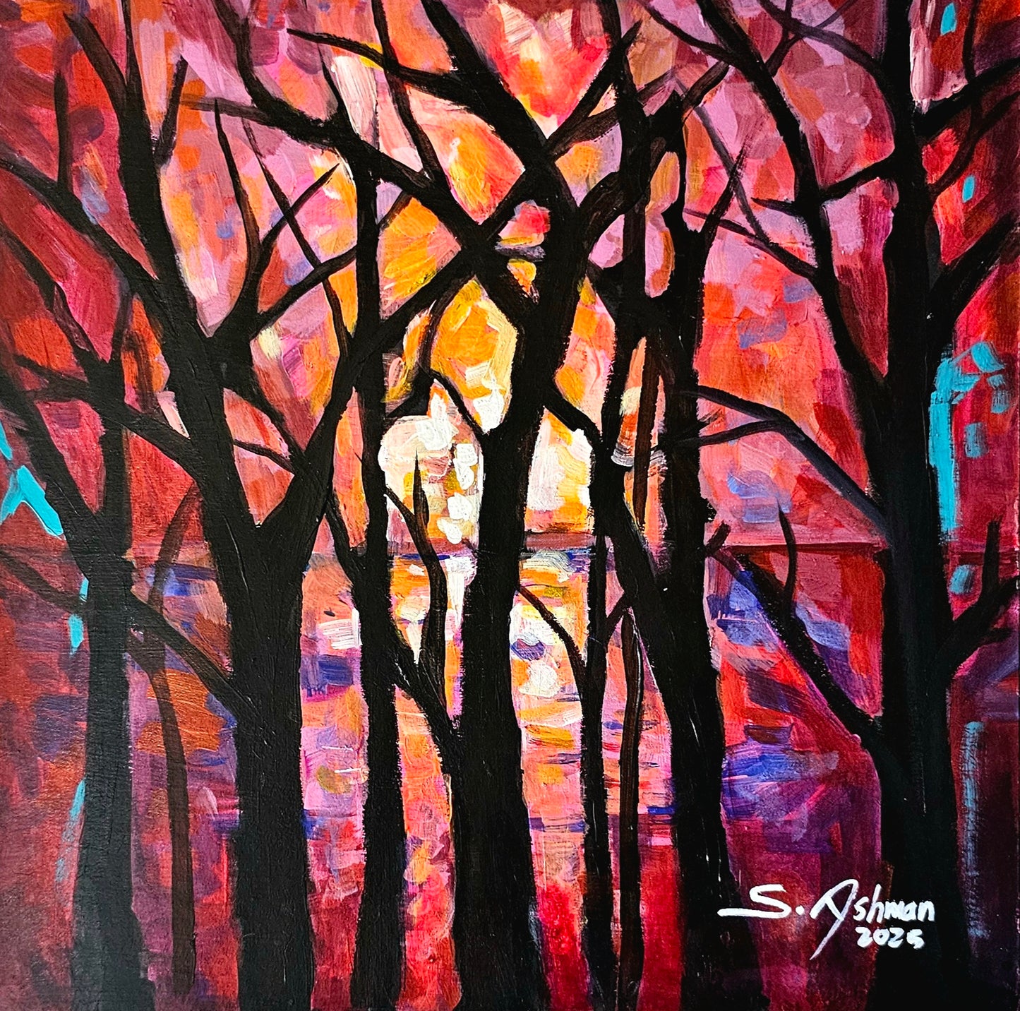 Hope Between the Branches